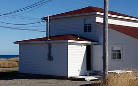 The Old Salt Box Co. - Aunt Donna'S